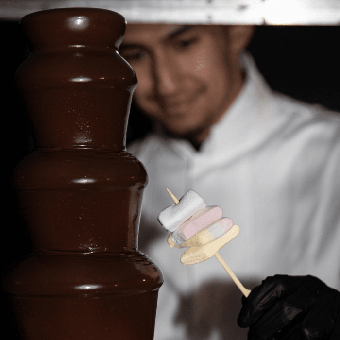 Chocolate Fountain